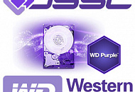 WD Purple покупают в DSSL! Western Digital и DSSL – технологические партнеры